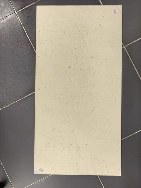 古玩字畫居廉款扇面真品鑒賞圖