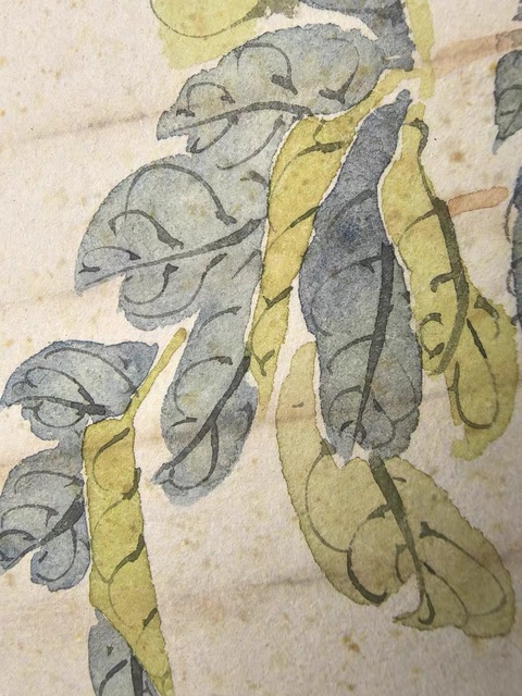 古玩字畫居廉款扇面真品鑒賞圖