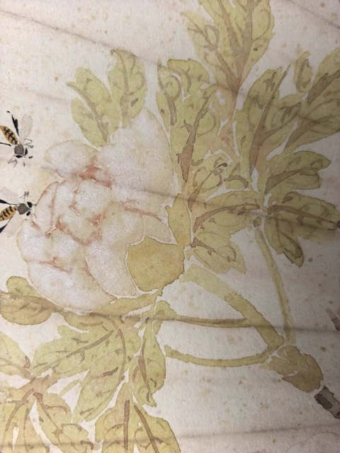 古玩字畫居廉款扇面真品鑒賞圖