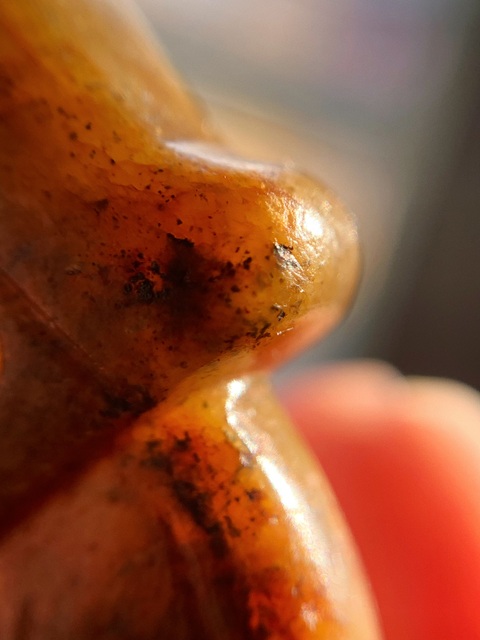 古玩玉器仿商代玉c型龍真品鑒賞圖