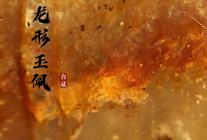 古玩玉器仿商代玉c型龍真品鑒賞圖