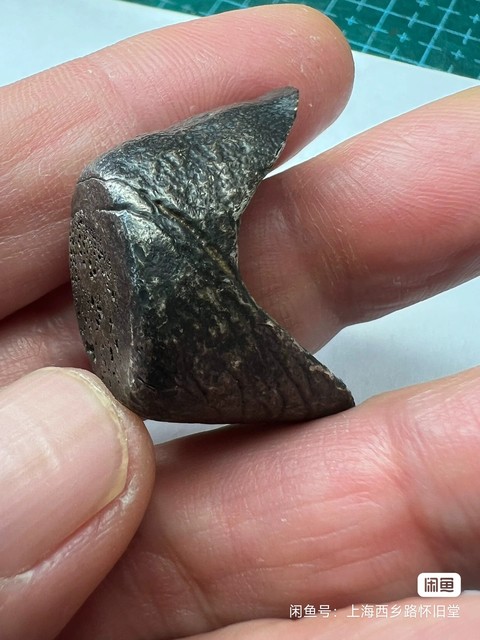 古玩錢幣銀錠真品鑒賞圖