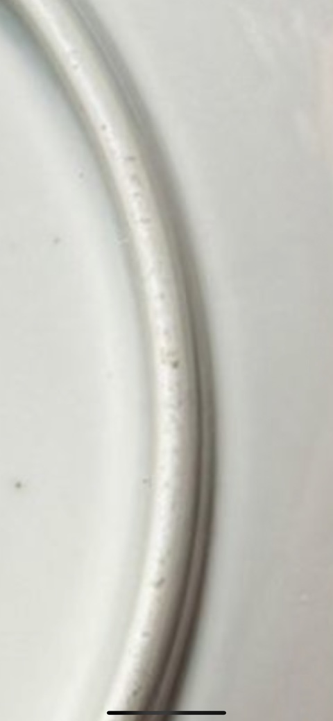 古玩陶瓷白釉臥盤真品鑒賞圖