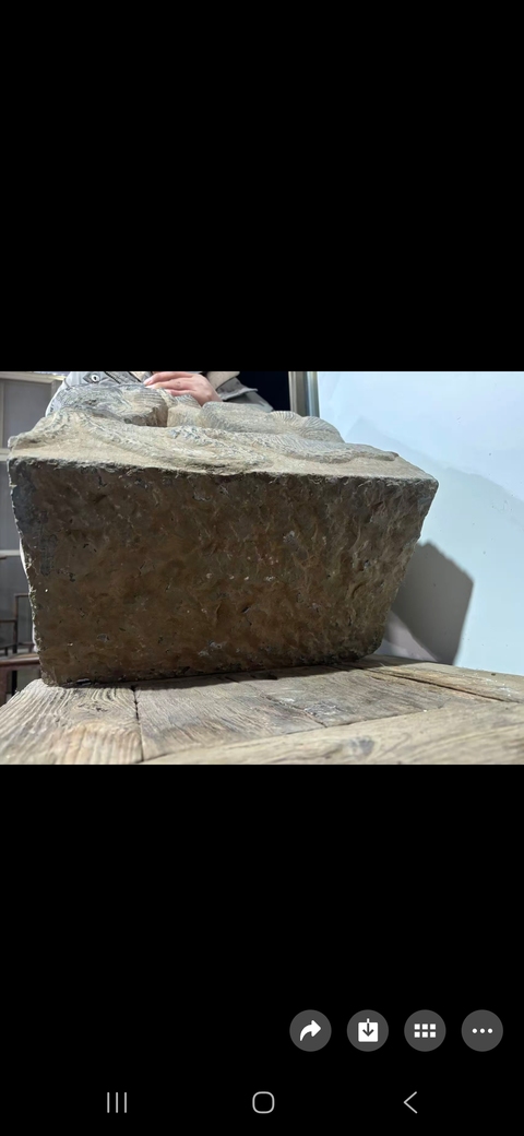 古玩雜項青石獅真品鑒賞圖