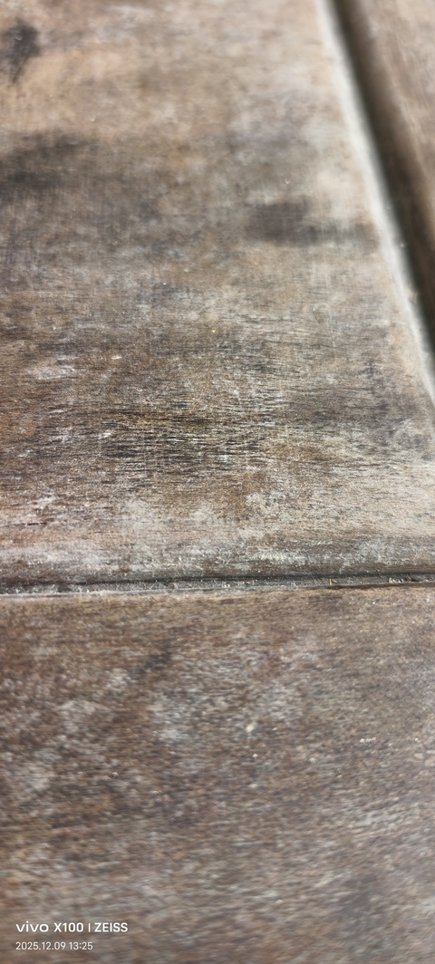 古玩雜項木幾真品鑒賞圖