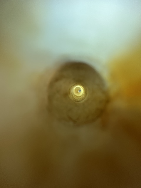 古玩玉器煙嘴真品鑒賞圖