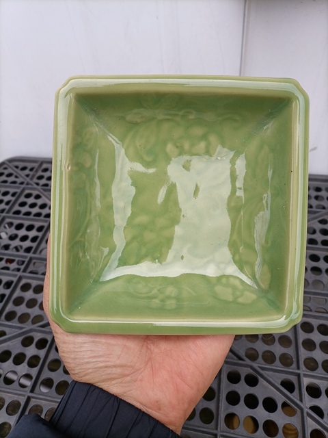 古玩陶瓷日本大正豆青釉花卉紋四方盤真品鑒賞圖