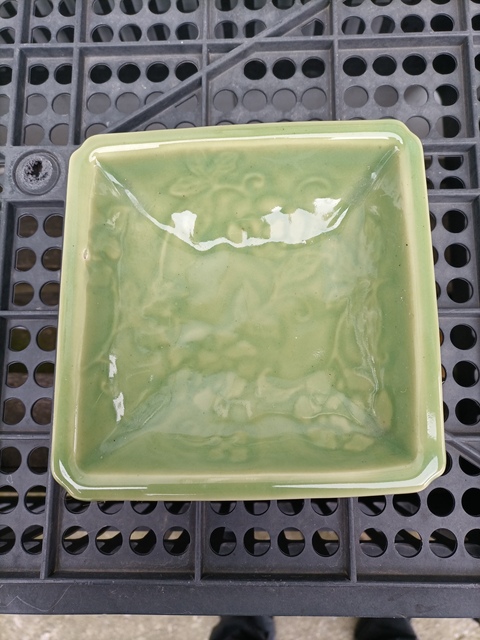 古玩陶瓷日本大正豆青釉花卉紋四方盤真品鑒賞圖