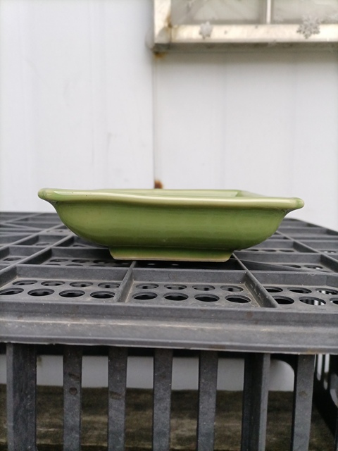 古玩陶瓷日本大正豆青釉花卉紋四方盤真品鑒賞圖