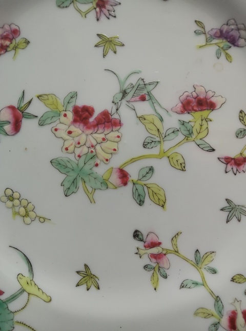 古玩陶瓷花卉紋粉彩盤真品鑒賞圖