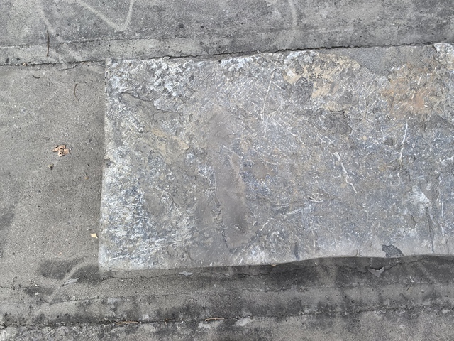 古玩雜項(xiàng)石踏步真品鑒賞圖