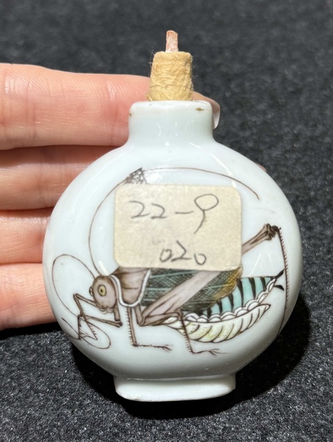 古玩陶瓷清晚期粉彩蟈蟈紋扁壺真品鑒賞圖