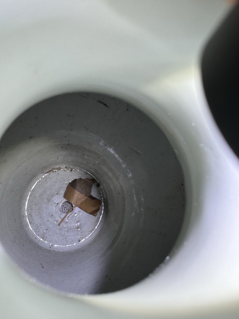 古玩陶瓷青釉瑞獸梅瓶真品鑒賞圖