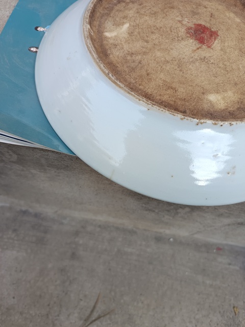 古玩陶瓷清晚期青花釉里紅魚盤拍賣，當前價格150元