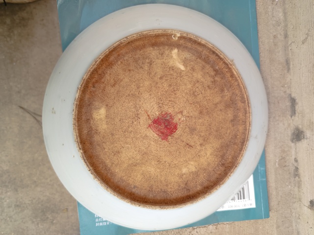 古玩陶瓷清晚期青花釉里紅魚盤拍賣，當前價格150元