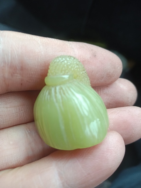 古玩玉器蓮蓬頭真品鑒賞圖