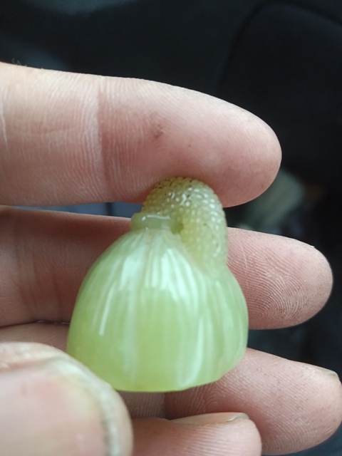 古玩玉器蓮蓬頭真品鑒賞圖