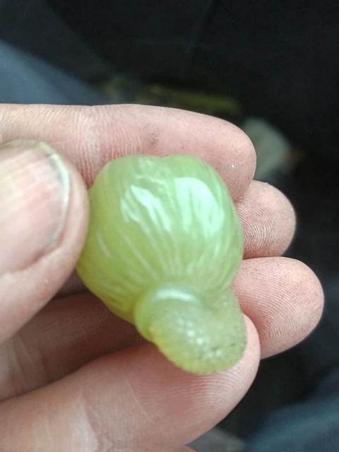 古玩玉器蓮蓬頭真品鑒賞圖