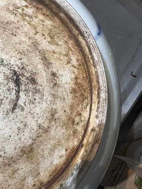 古玩陶瓷過墻龍紋青花盤真品鑒賞圖