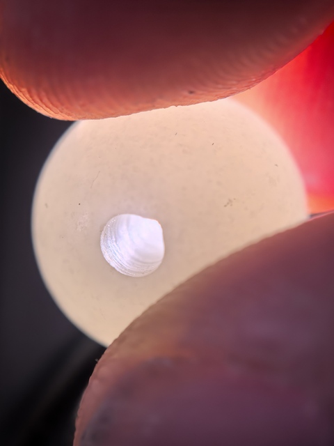 古玩玉器白玉手串真品鑒賞圖