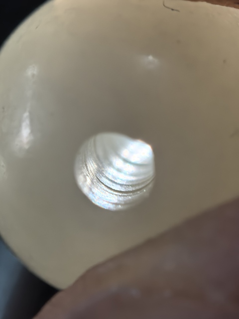 古玩玉器白玉手串真品鑒賞圖