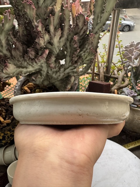 古玩陶瓷白釉洗真品鑒賞圖