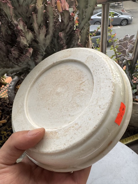 古玩陶瓷白釉洗真品鑒賞圖