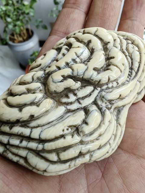 古玩雜項猛犸象牙如意洗真品鑒賞圖