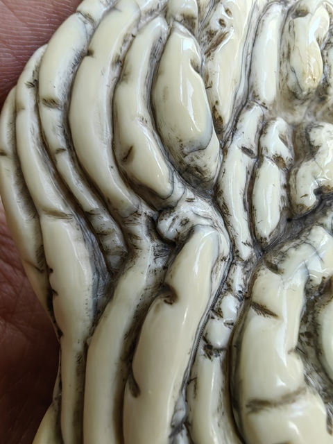 古玩雜項猛犸象牙如意洗真品鑒賞圖