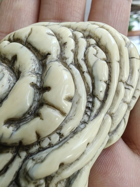 古玩雜項猛犸象牙如意洗真品鑒賞圖