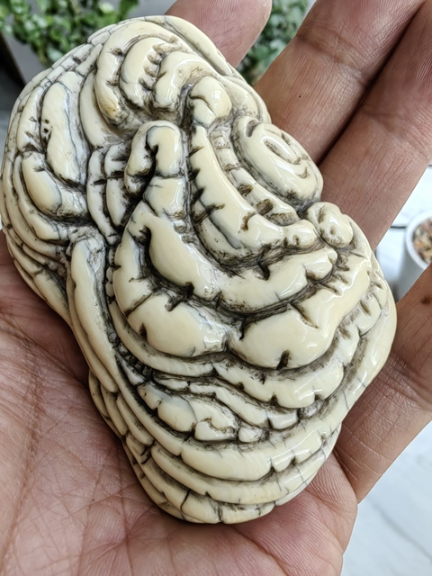 古玩雜項猛犸象牙如意洗真品鑒賞圖