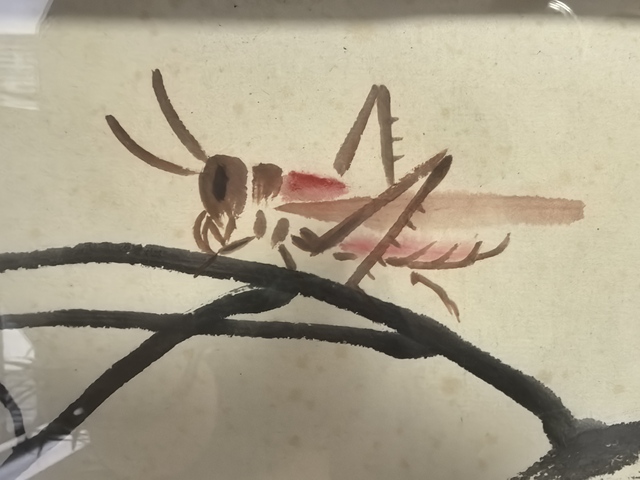 古玩字畫齊白石款花卉草蟲鏡片真品鑒賞圖