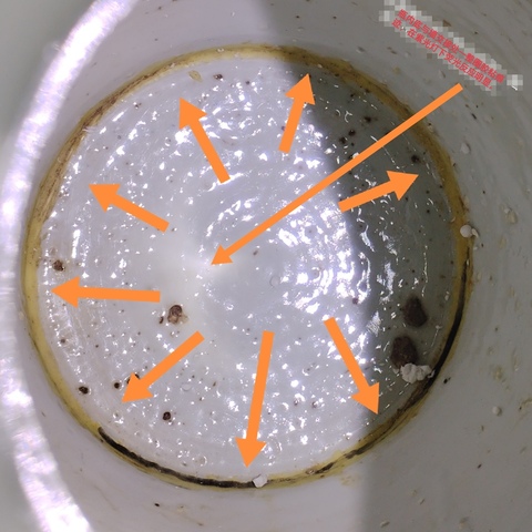 古玩陶瓷豆青釉青花瓶真品鑒賞圖