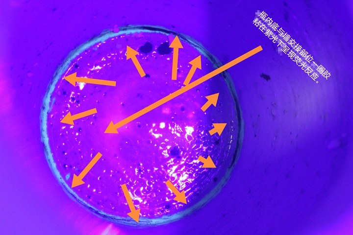 古玩陶瓷豆青釉青花瓶真品鑒賞圖