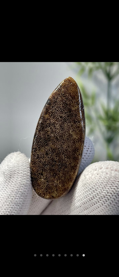 古玩雜項角牌真品鑒賞圖