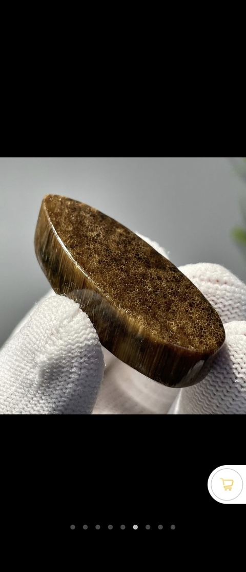 古玩雜項角牌真品鑒賞圖