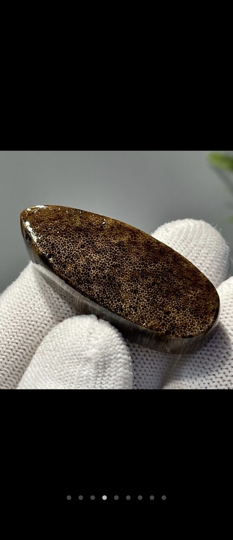 古玩雜項角牌真品鑒賞圖