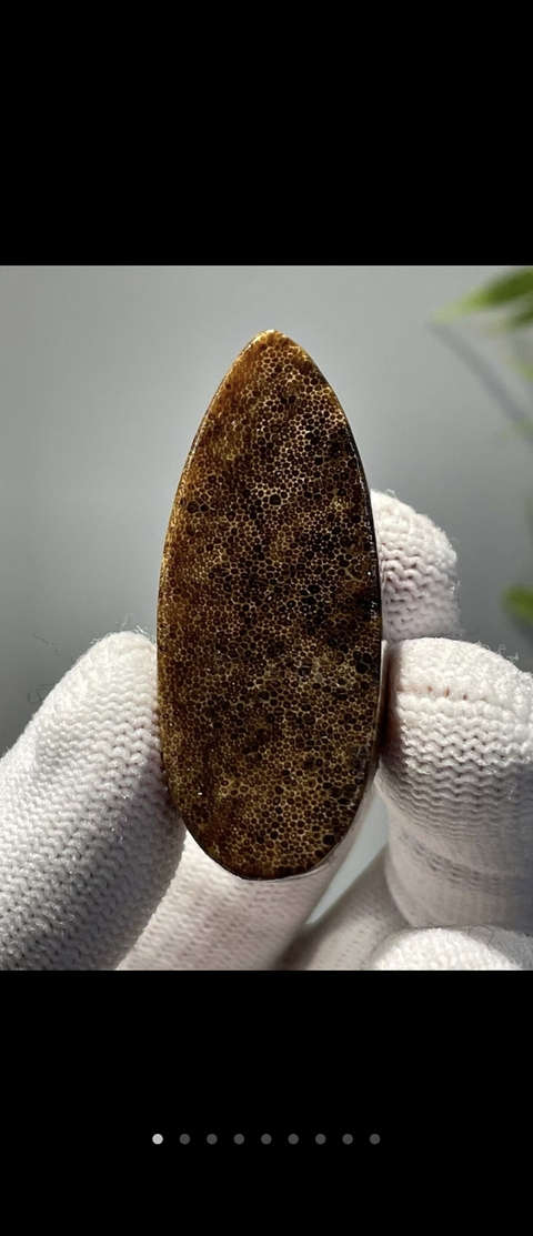 古玩雜項角牌真品鑒賞圖