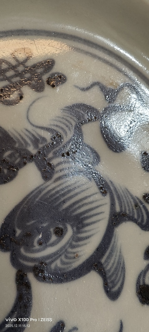 古玩陶瓷青花獅子紋大盤真品鑒賞圖