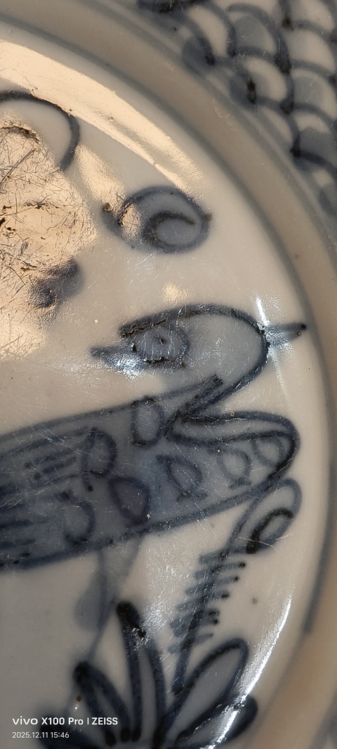 古玩陶瓷德化青花一鷺連科紋盤真品鑒賞圖