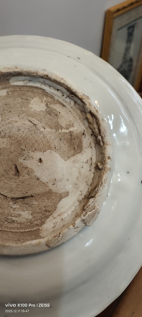 古玩陶瓷德化青花一鷺連科紋盤真品鑒賞圖