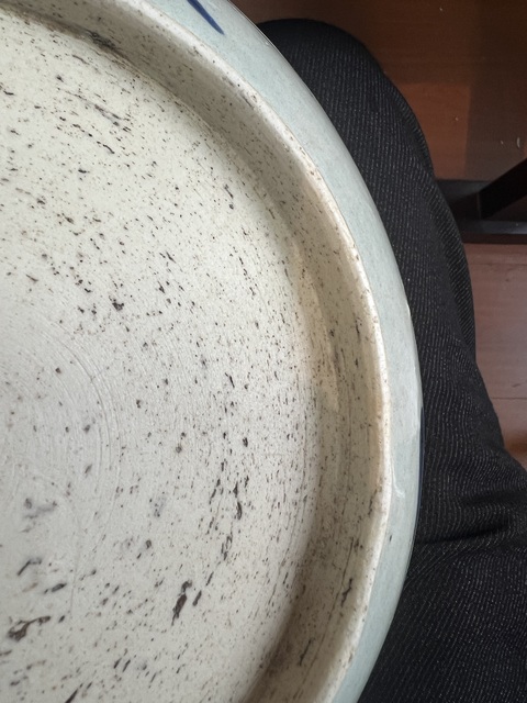 古玩陶瓷青花過(guò)墻龍紋盤(pán)真品鑒賞圖