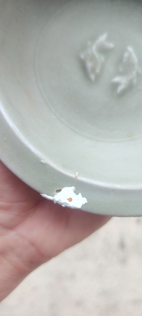 古玩陶瓷龍泉窯青釉洗真品鑒賞圖