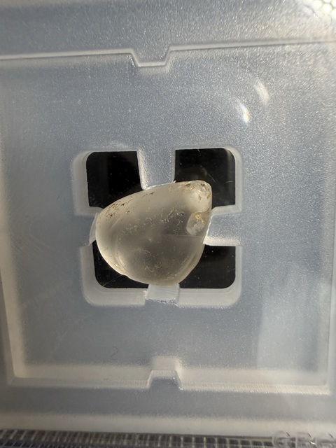 古玩玉器戰國·水晶貝（西泠同款）拍賣，當前價格5200元