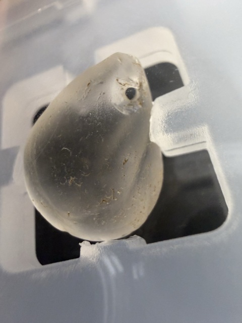 古玩玉器戰國·水晶貝（西泠同款）拍賣，當前價格5200元