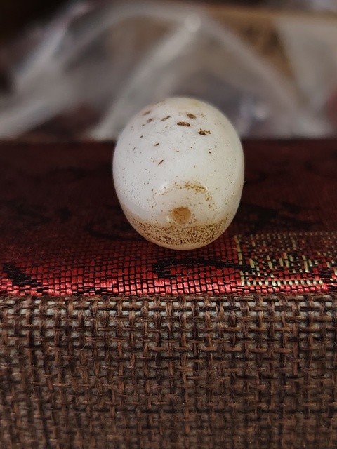 古玩玉器天然瑪瑙珠真品鑒賞圖