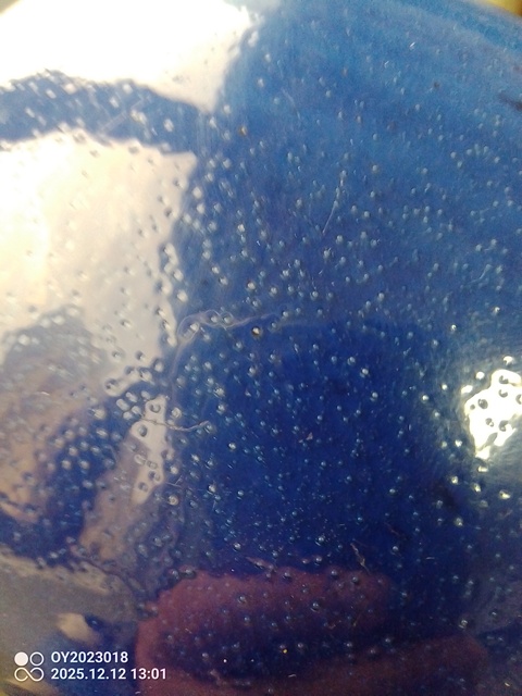 古玩陶瓷霽藍釉香爐真品鑒賞圖