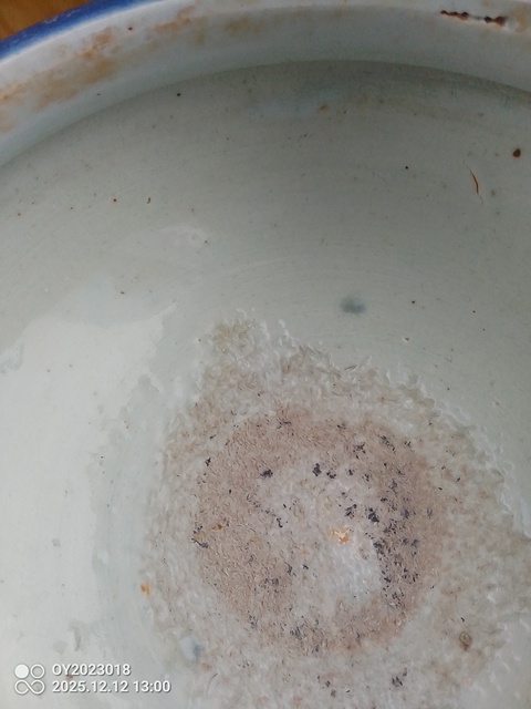 古玩陶瓷霽藍釉香爐真品鑒賞圖