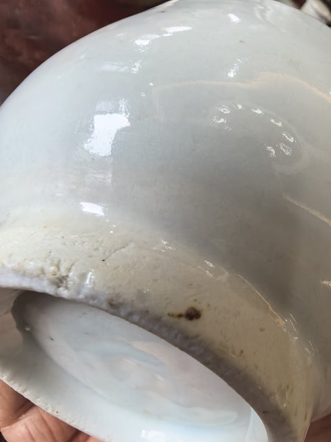 古玩陶瓷青白釉芒口碗真品鑒賞圖