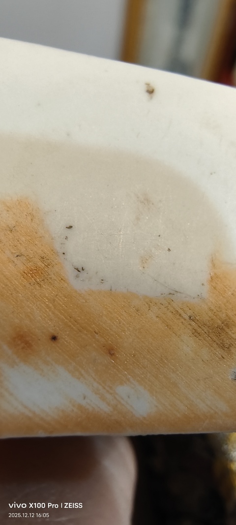 古玩陶瓷德化白瓷獅鈕方章真品鑒賞圖